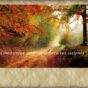 Como crear un bosque para tus sesiones